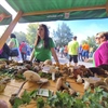 Tko će pronaći najljepši vrganj? Bedekovčanska jezera ove subote postaju središte velike gljivarske fešte