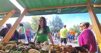 Tko će pronaći najljepši vrganj? Bedekovčanska jezera ove subote postaju središte velike gljivarske fešte
