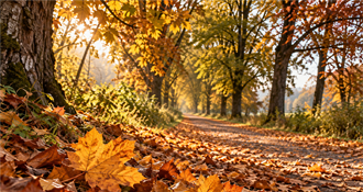 Stigla je jesen: Hladno jutro, ali prvi dan donosi sunce i ugodna 24 stupnja