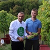 Pušipel odolio visokim temperaturama i dao bolji urod, ali zlatna žutica i dalje brine vinogradare
