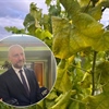Kolar o zlatnoj žutici: Stanje je alarmantno i tražimo hitna rješenja – ''Zamislite Zagorje bez naših vinograda i bez naših klijeti, to više ne bi bilo Zagorje''