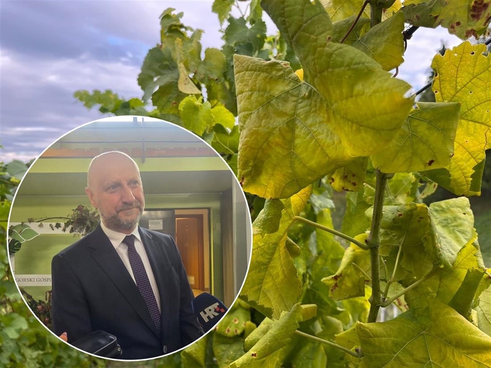 Kolar o zlatnoj žutici: Stanje je alarmantno i tražimo hitna rješenja – ''Zamislite Zagorje bez naših vinograda i bez naših klijeti, to više ne bi bilo Zagorje''