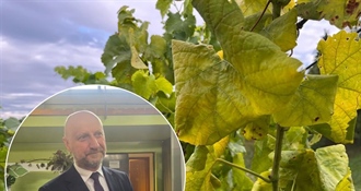 Kolar o zlatnoj žutici: Stanje je alarmantno i tražimo hitna rješenja – ''Zamislite Zagorje bez naših vinograda i bez naših klijeti, to više ne bi bilo Zagorje''