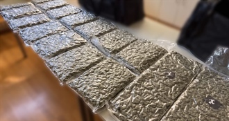 Mladić koji je na A1 uhićen sa 14 kilograma droge je nogometaš, a roditelji mu rade u policiji
