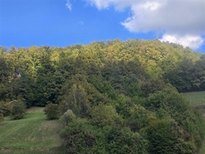 Pred nama sunčan dan, temperature do ugodnih 24 °C