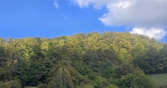 Pred nama sunčan dan, temperature do ugodnih 24 °C