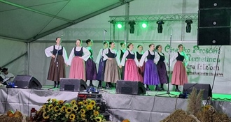 Bogat program kroz četiri dana: Čiselsko proščenje u Remetincu uz folklor, Remečki sajam i Zagorske igre