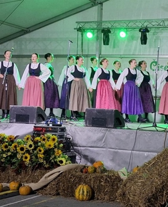 Bogat program kroz četiri dana: Čiselsko proščenje u Remetincu uz folklor, Remečki sajam i Zagorske igre