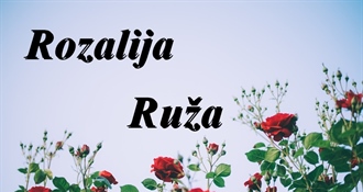 Današnje slavljenice su Ruža, Rozalija i Roza – želimo im sretan imendan!