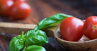 Preko 100 ljudi u Italiji zaraženo salmonelom, sumnjive rajčice distribuirane i u Hrvatsku