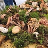 U subotu „Gljivarenje v Stubakima“ – jesenska čarolija prirode, okusa i druženja podno Medvednice