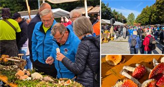 Pune košarice i mirisi domaćih delicija: Gljivarenje v Stubakima ponovno oduševilo posjetitelje