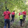 Beraču kestena pozlilo u šumi, HGSS ga nosilima izvukao do Hitne