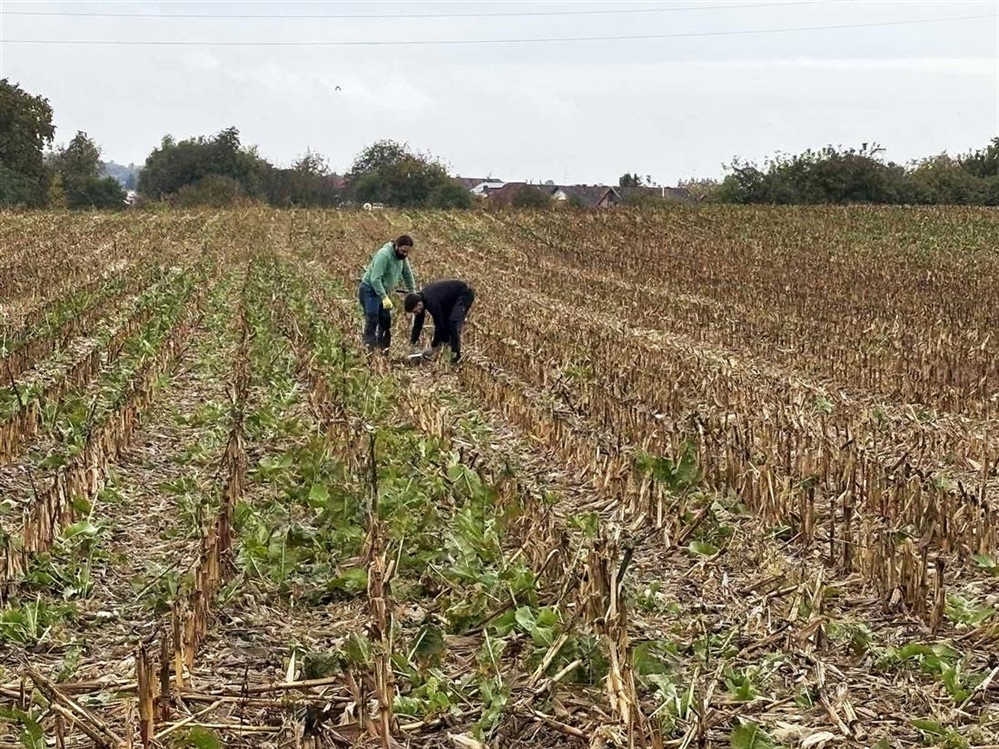 Na poljima Varaždinske županije počele pripreme za nova istraživanja