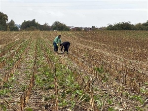 Na poljima Varaždinske županije počele pripreme za nova istraživanja