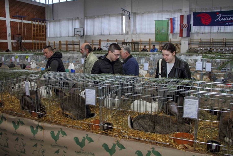 Velik broj posjetitelja obišao izložbu malih životinja u Ivancu