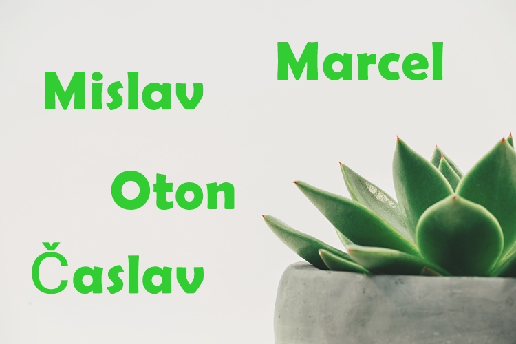 SRETAN IMENDAN Danas slave Marcel, Mislav, Oton i Časlav!