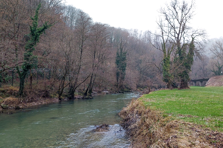 Javna ustanova Zagorje zeleno sudjelovala u ovogodišnjem zimskom prebrojavanju vodenih ptica uz rijeku Sutlu