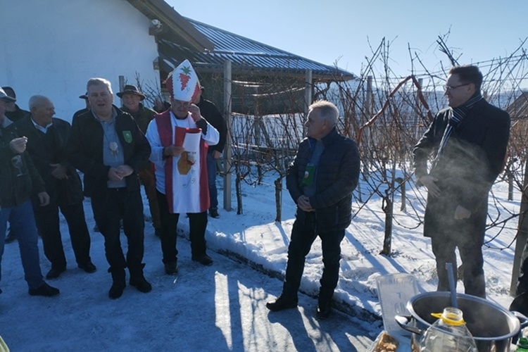 U Jesenju tradicionalno proslavljeno Vincekovo: Uz ceremoniju obrezivanja trsa, vinogradari i gosti se družili uz vino i glazbu