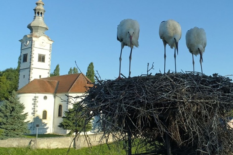 Općina Donja Voća svojim će studentima dodijeliti stipendije – ovo su uvjeti i način prijave na poziv