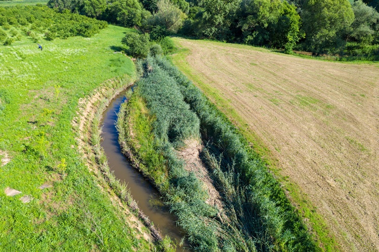 JU Zagorje zeleno: Stanje populacije vidre na rijeci Sutli