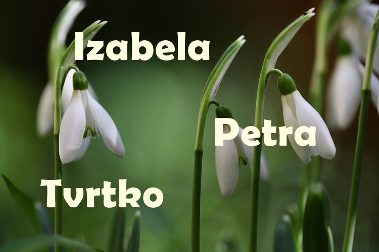 Izabela, Tvrtko i Petra današnji su slavljenici, čestitajte im imendan!
