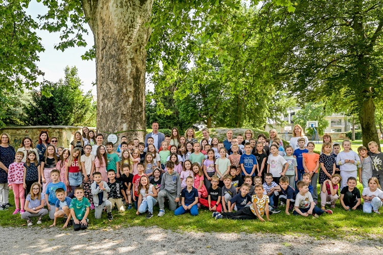 Varaždinsko stablo godine je javorolisna platana iz dvorišta II. osnovne škole