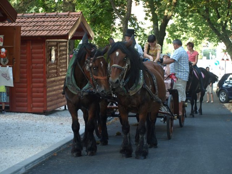 Ovogodišnje Ljeto u Krapini donosi bogat program za sve uzraste