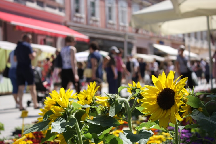 Iskoristite vikend za boravak na otvorenom, uskoro ponovo kiša i grmljavina