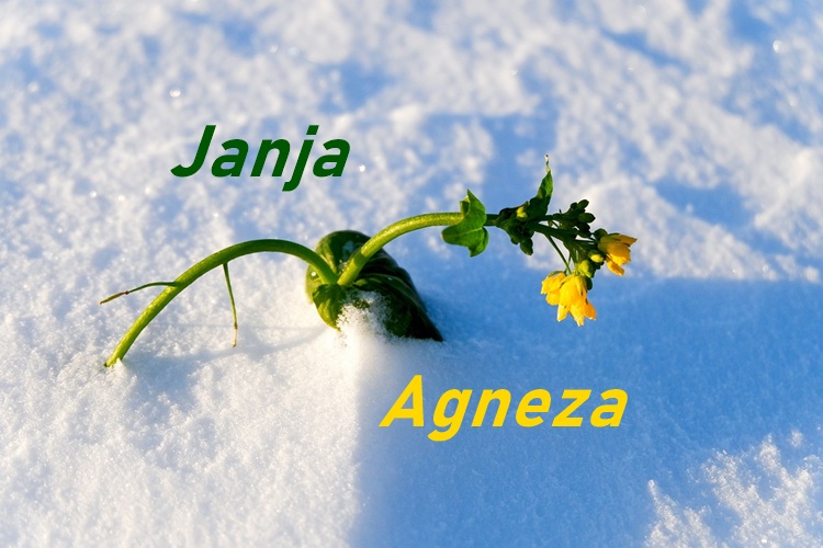 Danas im je imendan – čestitajte slavljenicama!