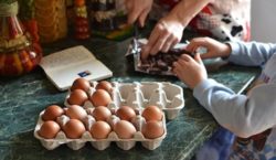 UPOZORENJE KUPCIMA Zbog salmonele, iz prodaje se povlače ova jaja – nemojte ih konzumirati!