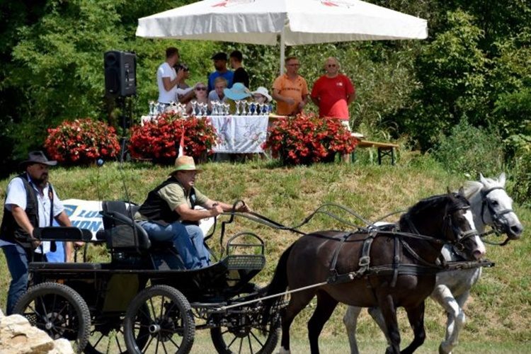Omiljena ljetna manifestacija ponovno u Petrijancu: Tradicionalne konjičke igre u Zelendvoru  