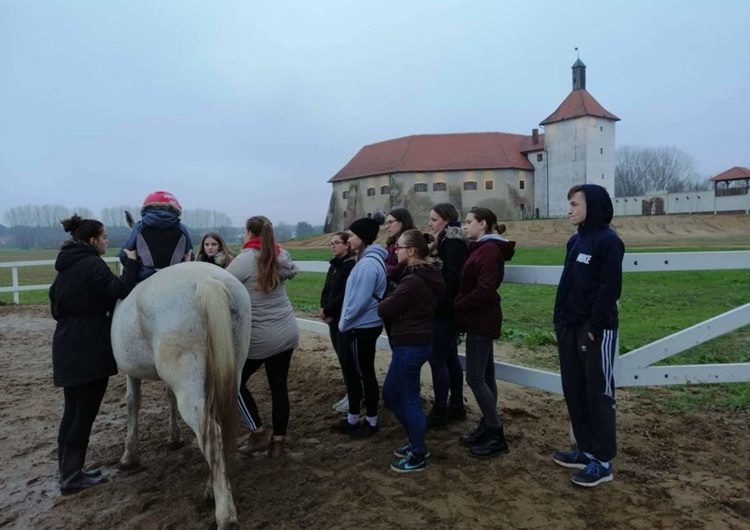 Konjički klub Đurđevački Graničari uspješno osigurao 62.000 kuna za kupnju konja i opreme za terapijsko jahanje