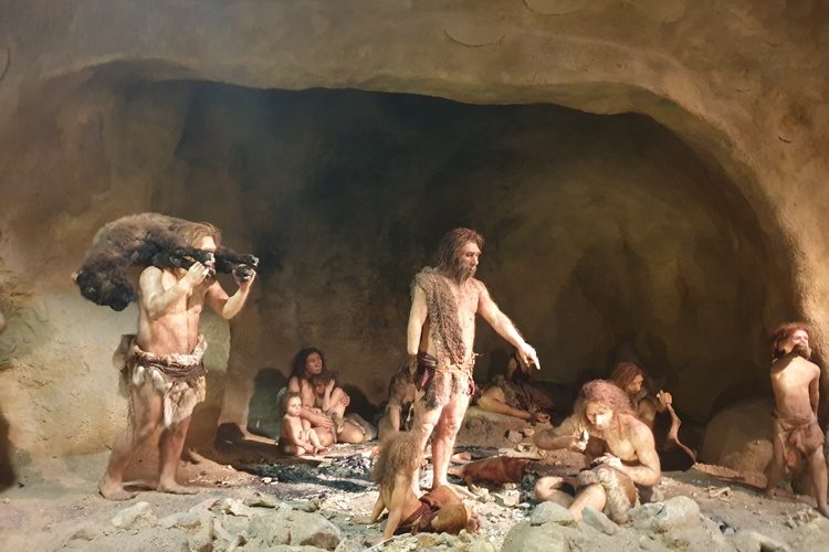 MEĐUNARODNI DAN MUZEJA Slobodan ulaz u Muzej krapinskih neandertalaca
