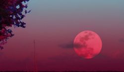Večeras će se pojaviti ružičasti puni Mjesec – evo kada će dosegnuti vrhunac osvjetljenja