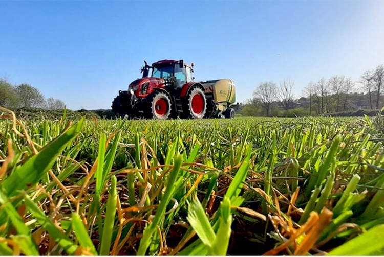 DOBRE VIJESTI ZA HRVATSKO GOSPODARSTVO: Ove godine bilježimo povećanje izvoza poljoprivrednih i prehrambenih proizvoda