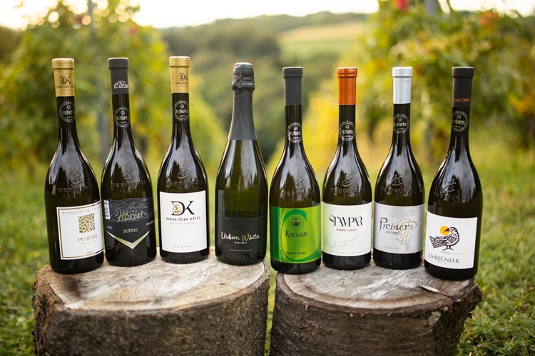 Pušipel – vinska sorta koja sve više kroji budućnost međimurskog vinogradarstva, ali i turizma