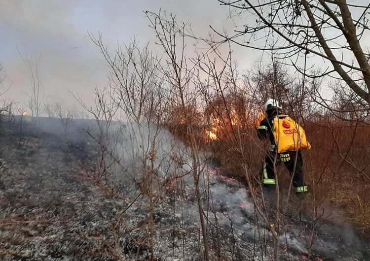 Požar koji je buknuo na zapuštenom zemljištu gasilo 18 vatrogasaca