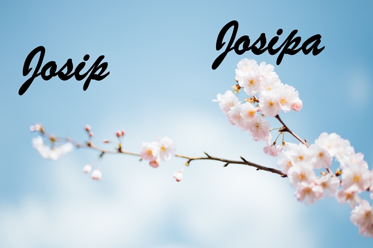 Josip i Josipa sretan vam imendan!