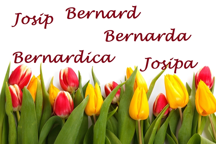 Bernardica, Bernarda, Josip, Josipa i Bernard, sretan vam imendan!