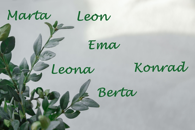 SRETAN IMENDAN Slave Marta, Leon, Berta, Ema, Leona i Konrad – znate li što znače ova imena?