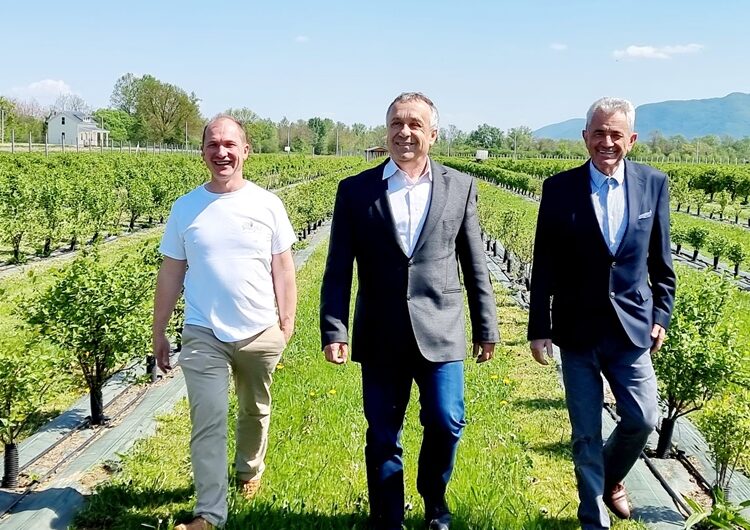 Zagrebačka županija osigurala gotovo 4 milijuna kuna bespovratnih potpora poljoprivrednicima