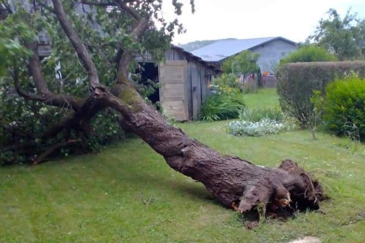 Jak vjetar u Gornjoj Stubici čupao čak i stabla – najveću štetu pretrpjela rubna naselja