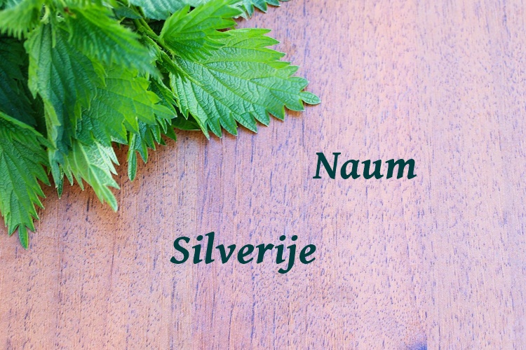 Danas imendan slave muškarci i dječaci s vrlo rijetkim imenima – Silverije i Naum