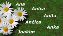 Ane, Anite, Anke, Ančice, Anice – sretan vam imendan!