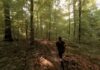 NAJAVA: Ovu subotu 2. Šumski trail u Koprivnici – trči se na 6,5, 12 i 19 kilometara; prijave traju do 20. kolovoza