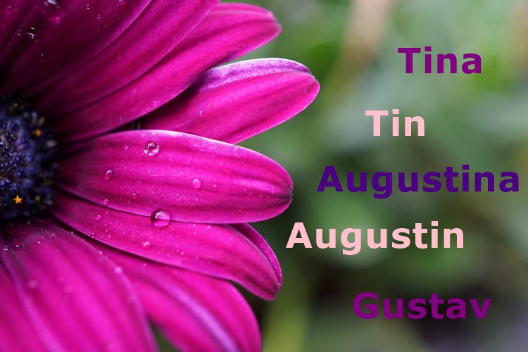 Imendan slave Tina, Tin, Augustina, Augustin i Gustav – doznajte što znače njihova imena