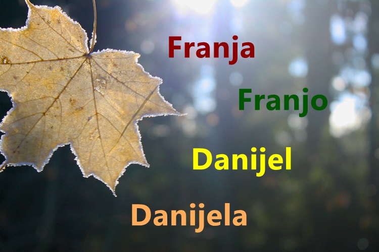 Slavljenici su danas Danijela i Danijel te Franja i Franjo – doznajte što znače njihova imena
