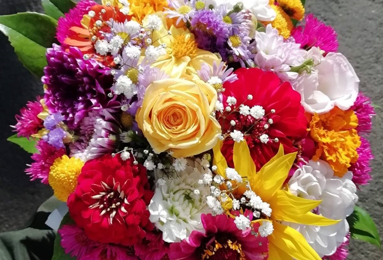Uživajte u cvjetnoj rapsodiji u srcu Podravine – uz Sajam starih zanata vraća se poznata izložba cvijeća “Novi počeci”
