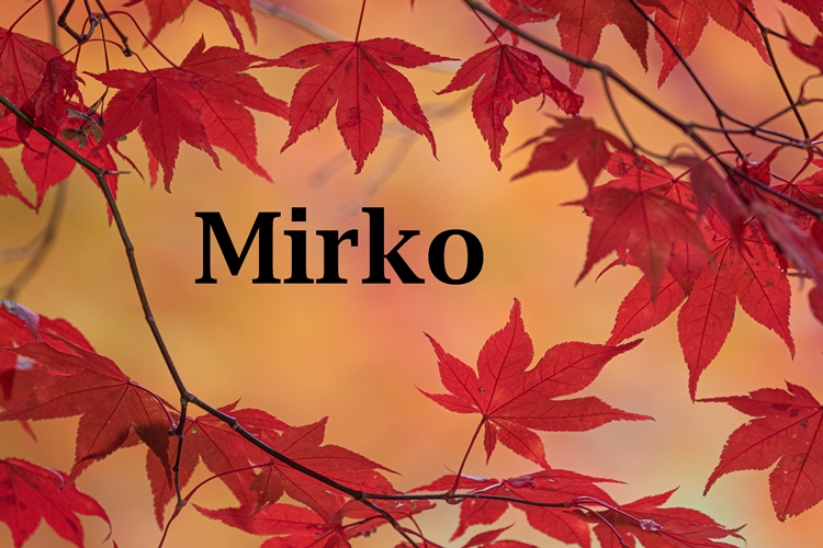 Današnji slavljenici nose ime Mirko – čestitajte im!